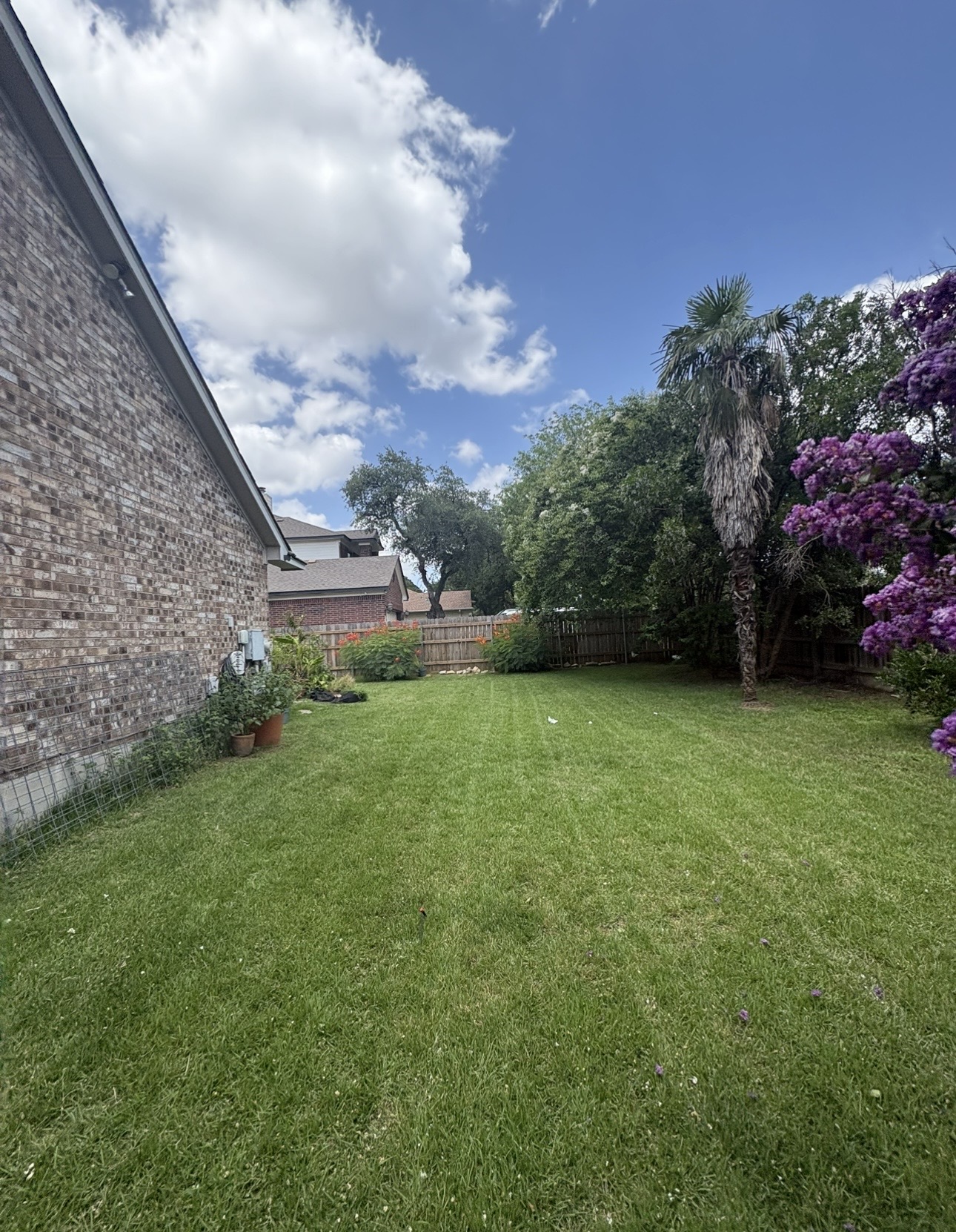 Backyard Lawn Care