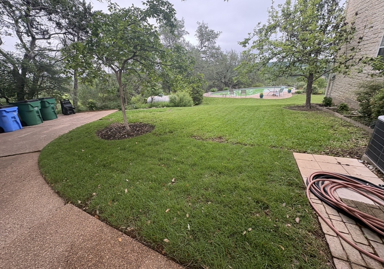 Backyard Cleanup