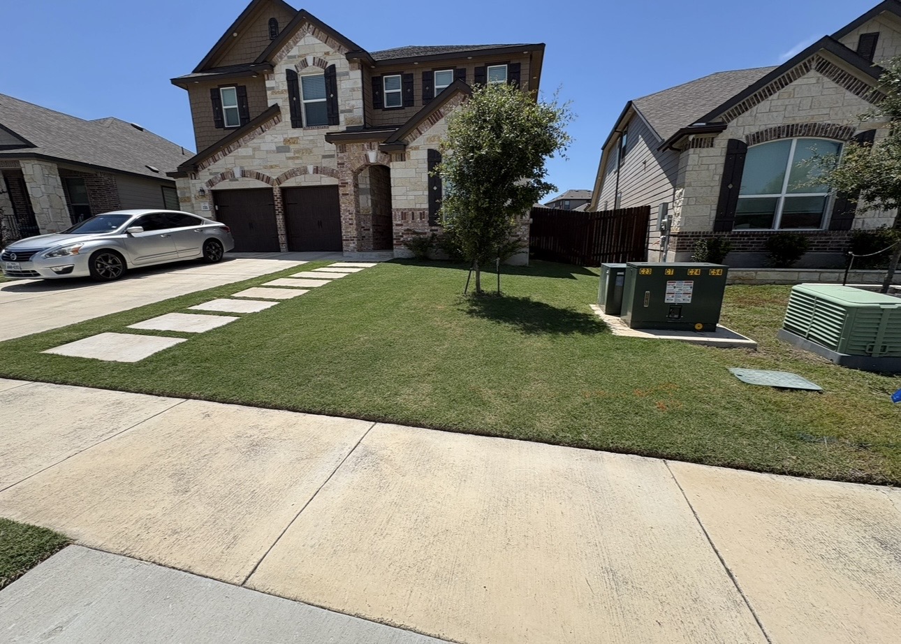 Landscape & Hardscape