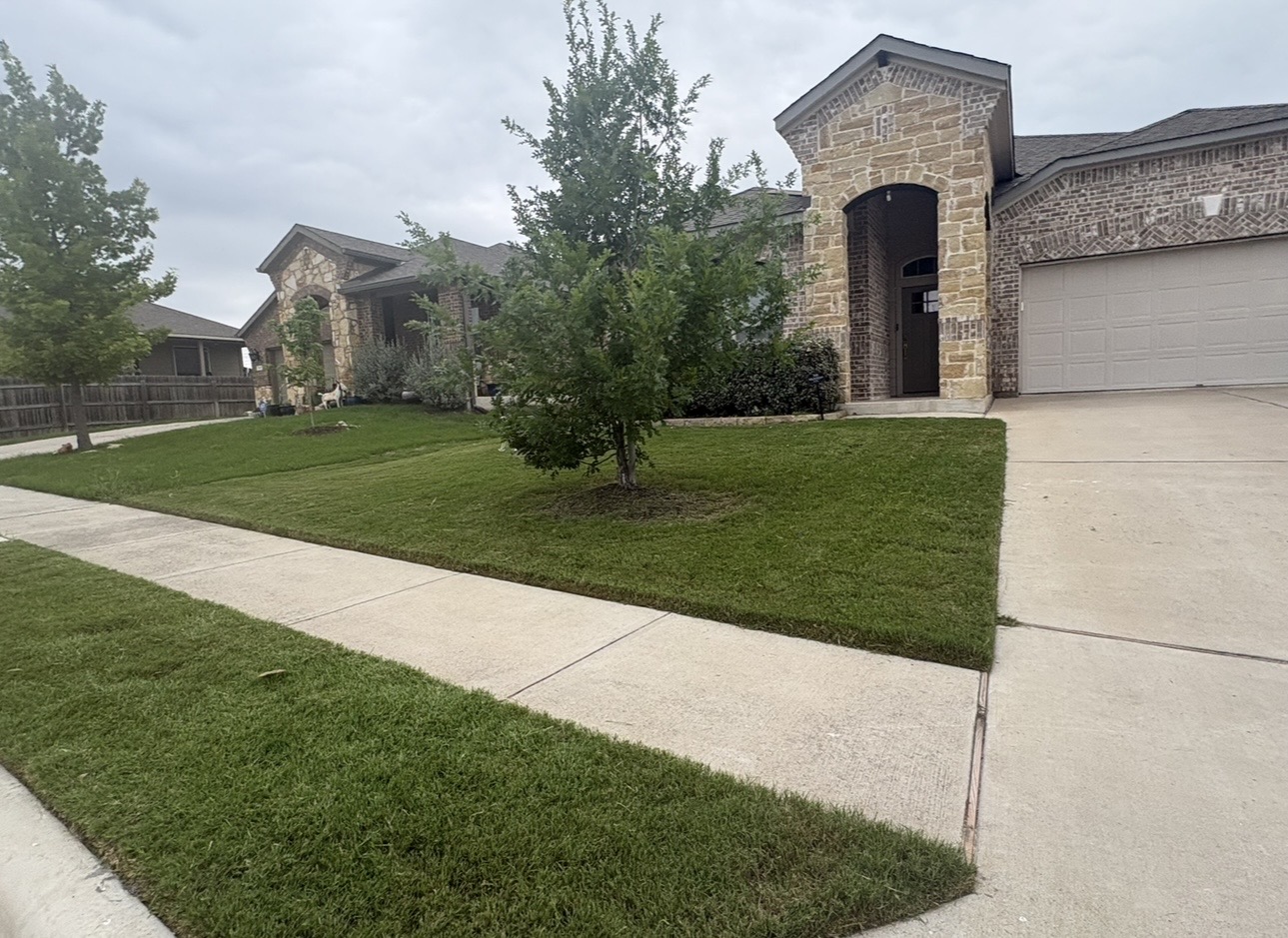 Lawn Maintenance